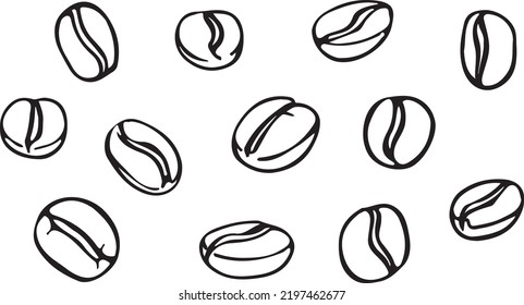 Vector Coffee beans illustration, black and white, isolated
