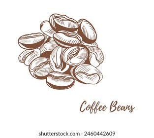 Vector coffee beans line art illustration, graphic line coffee beans combination. Great for any designs, textile, art, walls, package