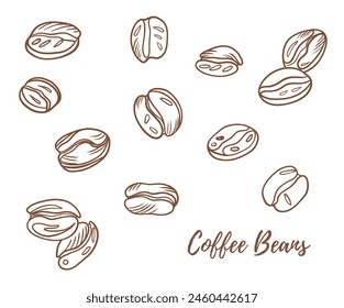 Vector coffee beans line art illustration, graphic line coffee beans combination. Great for any designs, textile, art, walls, package
