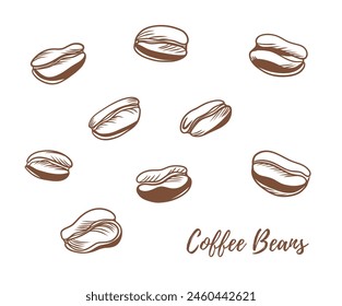 Vector coffee beans line art illustration, graphic line coffee beans combination. Great for any designs, textile, art, walls, package