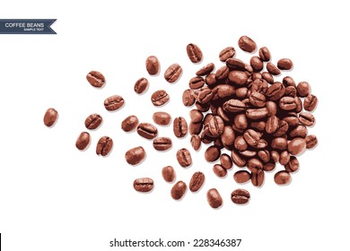 Vector Coffee Beans On White Background.