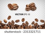 Vector coffee beans for your advertisement seed realistic Coffee beans dark roast piles of coffee