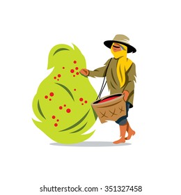 Vector Coffee Picker Cartoon Illustration. Woman with a Basket gather Coffee Beans from the bush Isolated on a White Background. Branding Identity Corporate Logo