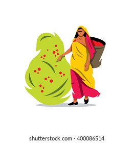 Vector Coffee Picker Cartoon Illustration. Woman with a Basket gathers Coffee Beans from the bush. Branding Identity Corporate unusual Logo isolated on a white background