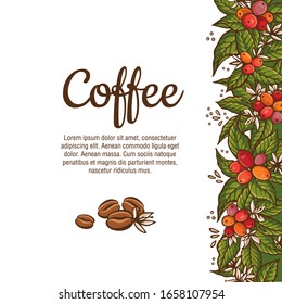 Vektorillustration Kaffeepflanzen färben Banner. Design-Vorlagen für Werbung