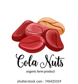 Vector cola nuts in cartoon style for template label, packaging snack and emblem farmer market design.