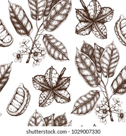 Vector Cola tree illustration. Vintage background with hand drawn with leaves, flowres, fruits and seeds. Botanical seamless pattern. Aromatical elements sketch.