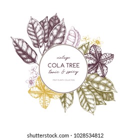 Vector Cola tree vintage sketch. Vintage design with hand drawn with leaves, flowers, fruits and seeds. Botanical frame template. Aromatic elements illustration.