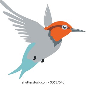 Vector. Colibri