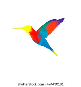 Vector colibri.