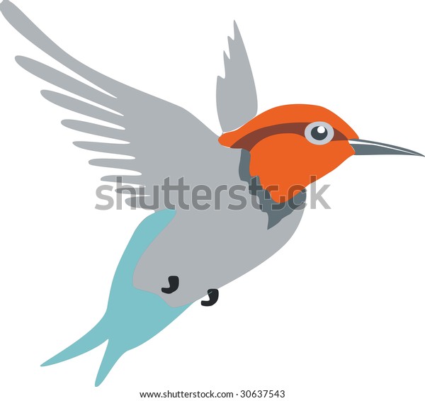 Vector Colibri Image Vectorielle De Stock Libre De Droits