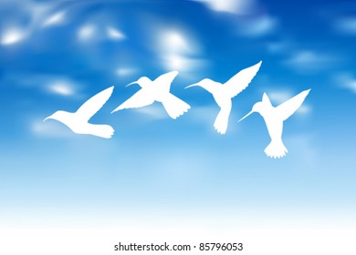 Vector Colibri in Air