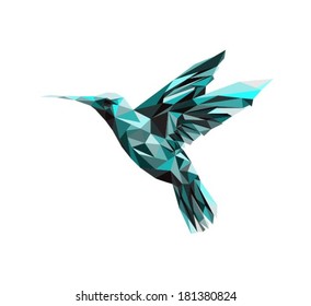 Vector - colibri geometric