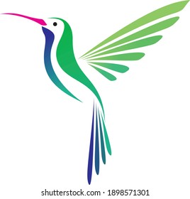 Vector colibri. Impresión o logotipo elegante. Belleza voladora.