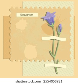 vector collage with flower, bell, creative composition, herbarium imitation. dried wild plants