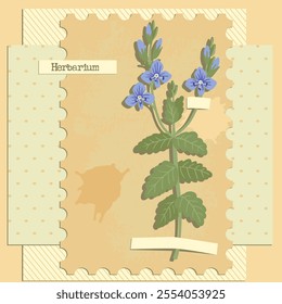 Collage de Vector con flor, Germander Speedwell, composición creativa, imitación de herbario. plantas silvestres secas