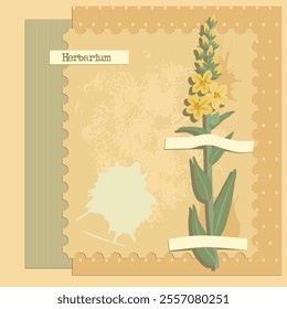 Collage de Vector con flor, mullein, composición creativa, imitación de herbario. plantas silvestres secas