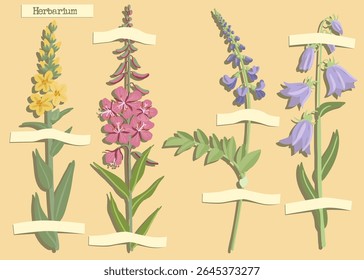 colagem vetorial com flores, mullein, lareira, galega e flor de ventre rastejante, composição criativa, imitação de herbário.