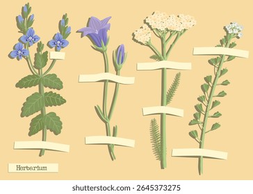colagem vetorial com flores, milefólio, bolsa de pastor, germander speedwell e flor de sino, composição criativa, imitação de herbário.
