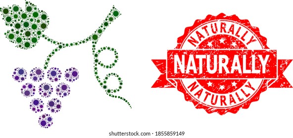 Vector collage grape plant of covid-2019 virus, and Naturally rubber ribbon stamp seal. Virus particles inside grape plant collage. Red stamp seal has Naturally title inside ribbon.