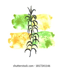 Vector collage modern poster with abstract shapes and illustration of plant. Scandinavian Style. For posters, textile print, wrapping paper, greeting card template, social media post