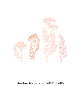 Vector collage modern poster with illustration of plant. Scandinavian Style. For posters, textile print, greeting card template, social media post