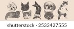 Vector collage set with funny dogs and cats. Vintage halftone stipple effect