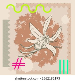 vector collage with vanilla flower and neon color elements,, creative composition with sketch of owl and butterfly