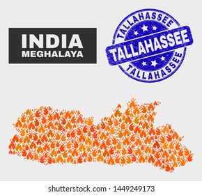 Vector collage of wildfire Meghalaya State map and blue rounded grunge Tallahassee seal. Fiery Meghalaya State map mosaic of wildfire elements. Vector collage for safety services,