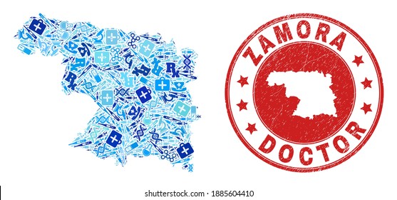 Vector collage Zamora Province map with inoculation icons, laboratory symbols, and grunge health care watermark. Red round watermark with grunge rubber texture and Zamora Province map caption and map.