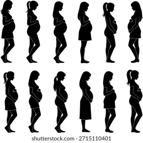 Vector collection of 14 black silhouettes of pregnant women in profile view. Ideal for maternity, motherhood, and health-related design concepts.