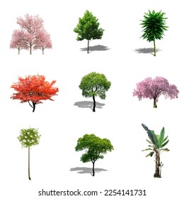 Vector collection of 3D trees of various types and colors