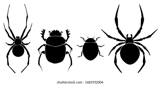 Vector collection of 4 insects silhouettes. Spider male, scarab bug, ladybug, spider female. Minimal graphic illustration.