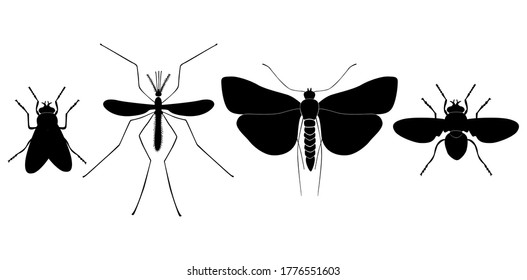 Vector collection of 4 insects silhouettes. Fly, mosquito, meadow moth. Minimal graphic illustration.