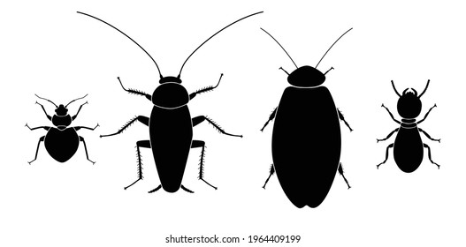 Vector collection of 4 insects silhouettes. The bedbug, the cockroach, the giant cave cockroach, termite. Minimal graphic illustration.