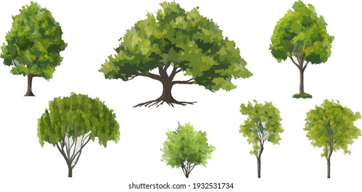 Colección vectorial de la vista abstracta de árbol verde aislada en fondo blanco para el diseño de paisajes y arquitectura, elementos para el medio ambiente y el jardín, elevación de árboles