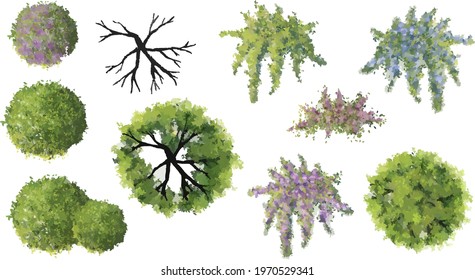 Vector collection of abstract watercolor tree top view isolated on white background for landscape and architecture layout drawing, elements for environment and garden, flower blossom with grass illustration set,