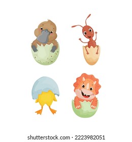 Vector collection of animals in eggshell. Colorful children's illustrations.
