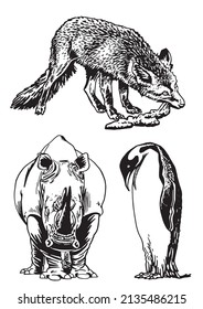 Vector collection of animals isolated on white,graphical elements