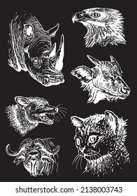 Vector collection of animals isolated on black,graphical  engraved elements