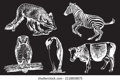Vector collection of animals on black, fox,zebra,cow, penguin,owl