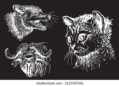 Vector collection of animals on black isolated,graphical elements 