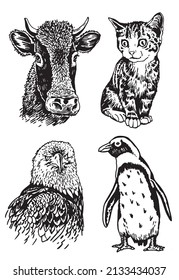 Vector collection of animals on white isolated,graphical elements cow,cat, eagle and penguin