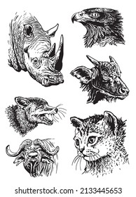 Vector collection of animals on white isolated,graphical elements eagle,bull,fox,cat.rhino