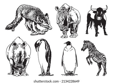 Vector collection of animals on white isolated,graphical elements bull,zebra,rhino and penguin,fox