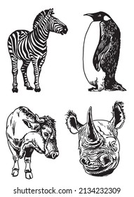 Vector collection of animals on white isolated,graphical elements rhino,zebra,bull and penguin