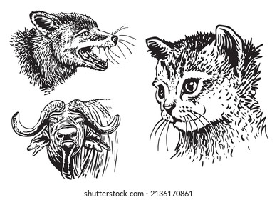 Vector collection of animals on white isolated,graphical elements bull,fox,cat