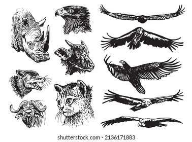 Vector collection of animals on white isolated,graphical elements eagle,bull,fox,cat.rhino