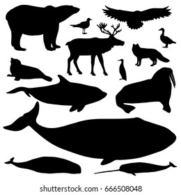Vector collection of Arctic animals, includes 13 black silhouettes. Monochrome set isolated on white background
