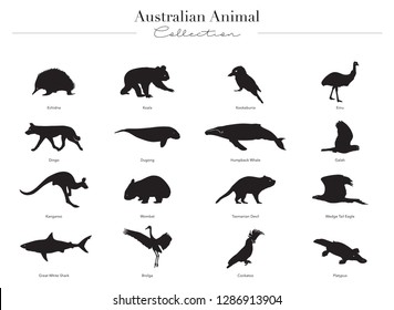 18 Brolga silhouette Images, Stock Photos & Vectors | Shutterstock